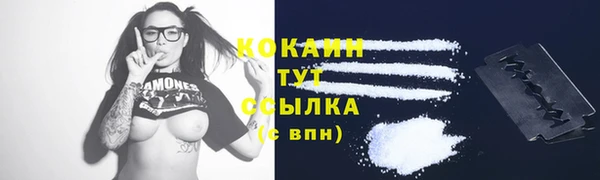 индика Абдулино