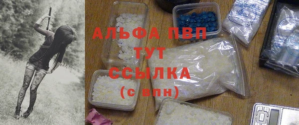 индика Абдулино