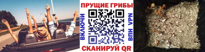 Галлюциногенные грибы прущие грибы  Канск 