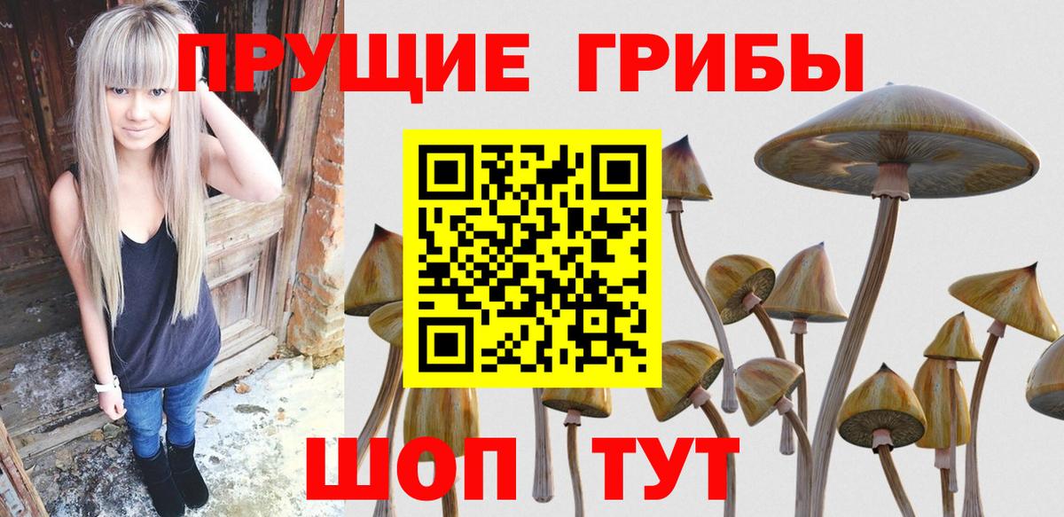 Псилоцибиновые грибы ЛСД  Вход с VPN  Канск 